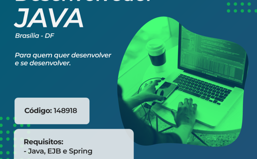 [leonardoti] Oportunidade para Desenvolvedor Java  – Mirante Tecnologia