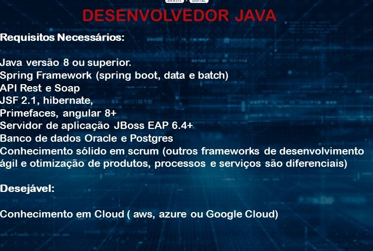 [leonardoti] DESENVOLVEDOR JAVA